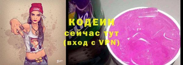 твердый Тобольск