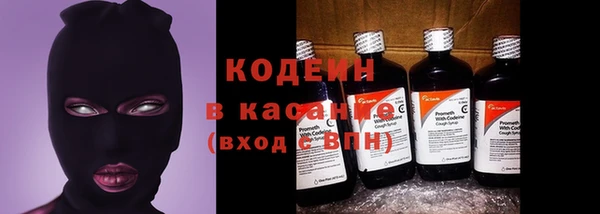 твердый Тобольск