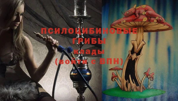 PSILOCYBIN Алзамай